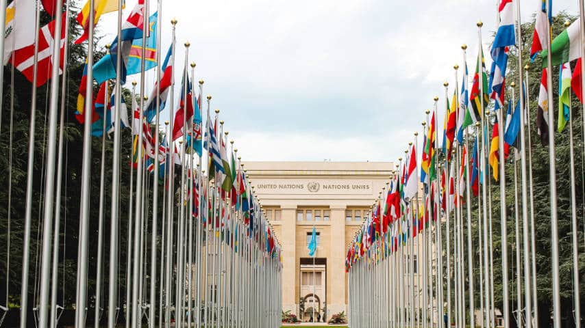 How to become a translator - Photo of International Flags in front of a United Nations Organization Building by Mathias Reding at Unsplash. Unsplash License. https://unsplash.com/es/fotos/yfXhqAW5X0c