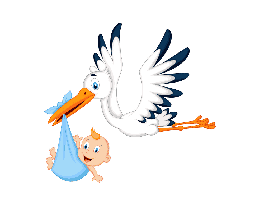 What would be the translation for the concept of a stork delivering newborn babies?