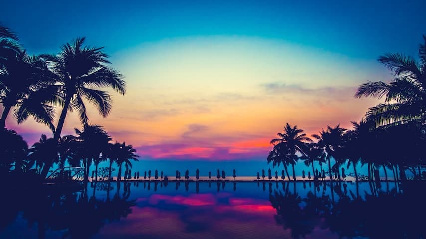 Pacific Islander Languages. Image of a pool with palm trees and nature with a colourful sunset in Hawaii. This image has been used to illustrate the article "Exploring Asian and Pacific Islander Languages: A Journey Through Translation and Voice Overs." Freepik licence: https://www.freepik.com/free-photo/pool-nature-landscape-palm-ocean_1044040.htm